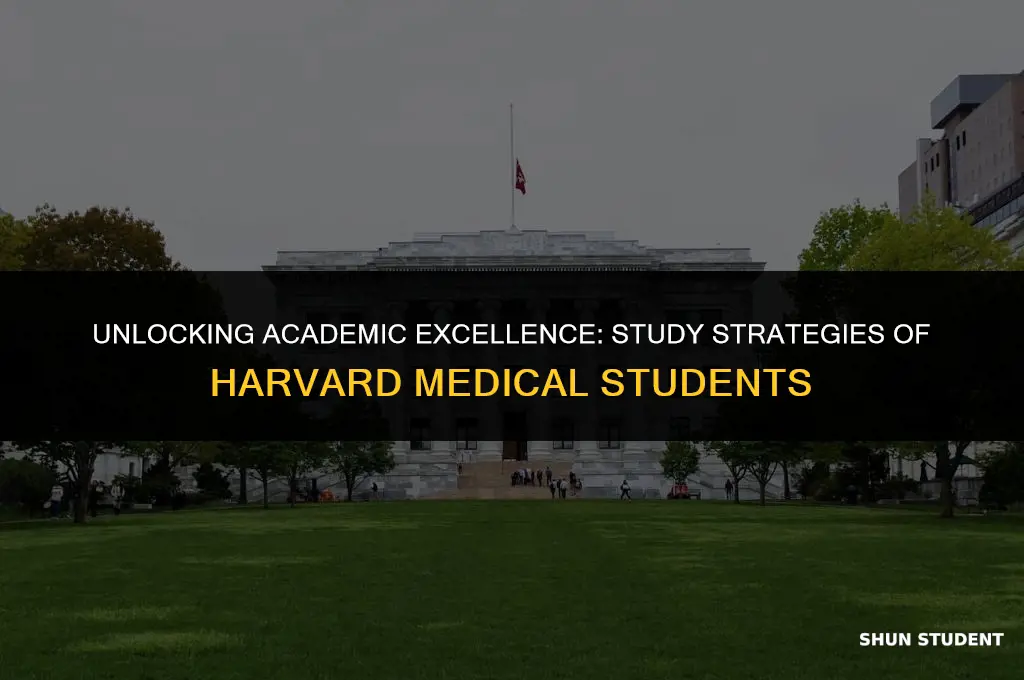 how to study like a harvard medical student