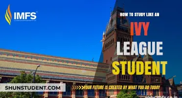 Unlocking Academic Excellence: Study Strategies of Ivy League Students