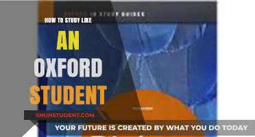 Mastering the Art of Study: An Oxford Student's Guide