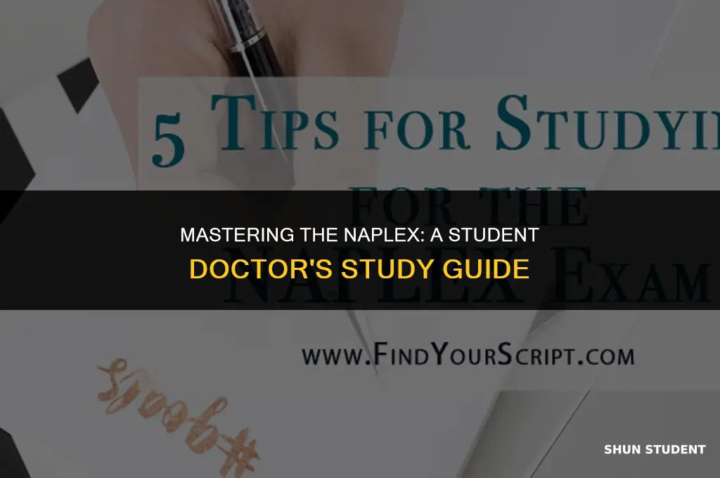 how to study naplex student doctor