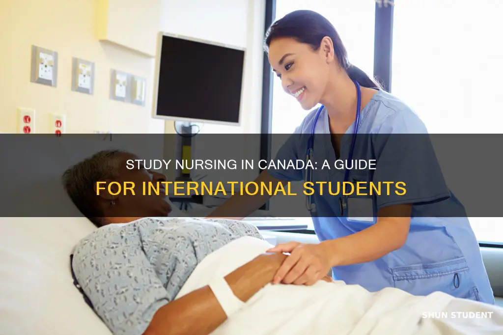 how to study nursing in canada as an international student