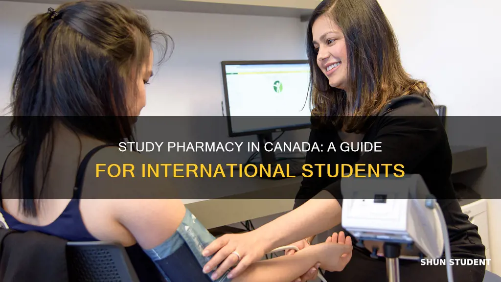 how to study pharmacy in canada for international students