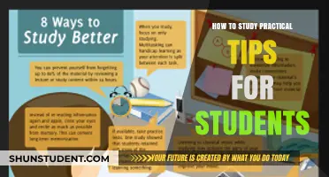 Mastering the Art of Study: Practical Tips for Students