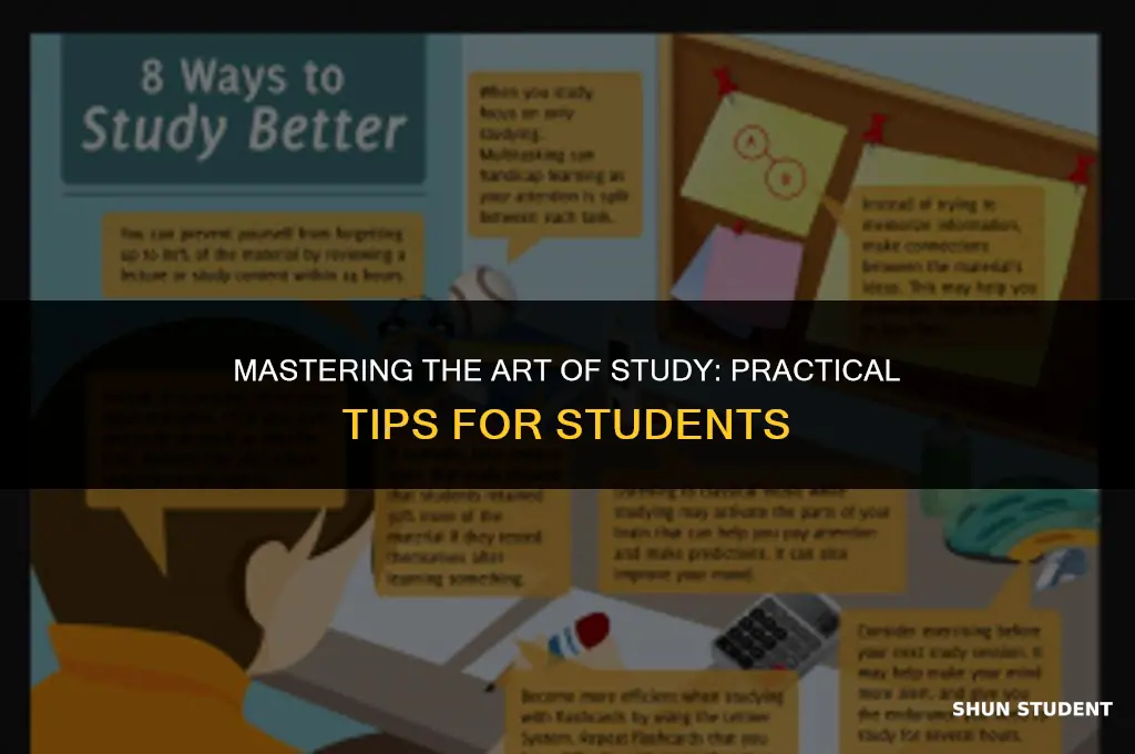 how to study practical tips for students