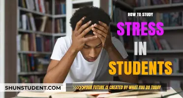 Unraveling the Puzzle: Understanding and Managing Student Stress