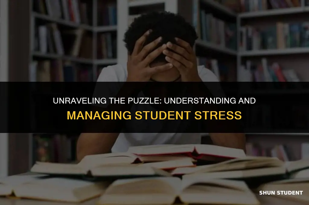 how to study stress in students