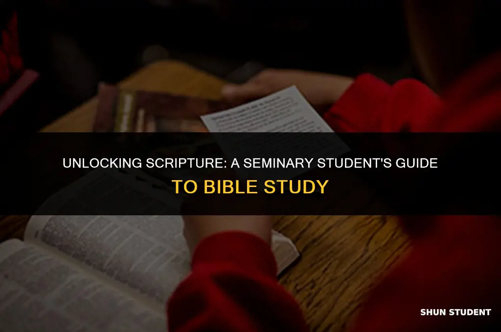 how to study the bible like a seminary student