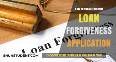 Step-by-Step Guide to Submitting Your Student Loan Forgiveness Application