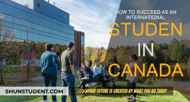 Strategies for Success as an International Student in Canada