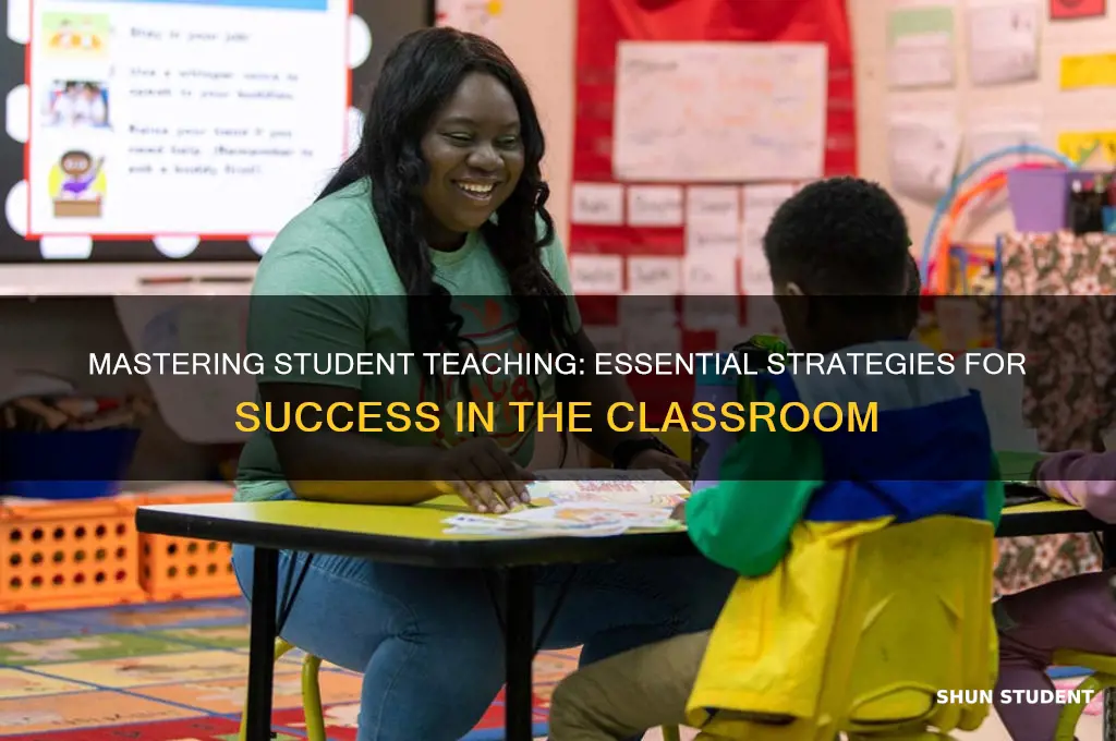 how to succeed at student teaching