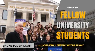 University Students: Suing Your Peers