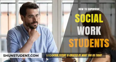 Effective Supervision Strategies for Social Work Students in Field Practice