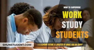 Effective Supervision Strategies for Work-Study Students: A Guide