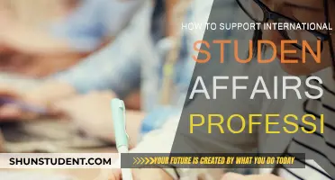 Support Strategies for International Student Affairs Professionals