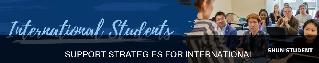 how to support international student affairs professional