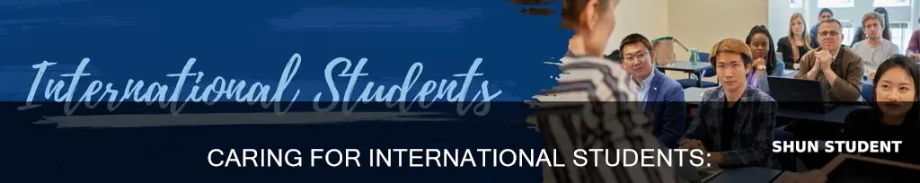 how to support international students