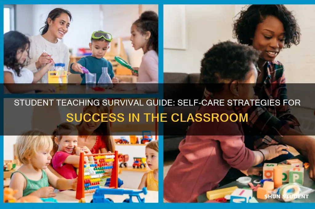 how to support yourself while student teaching