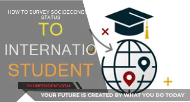 Socioeconomic Surveys: Understanding International Students' Realities
