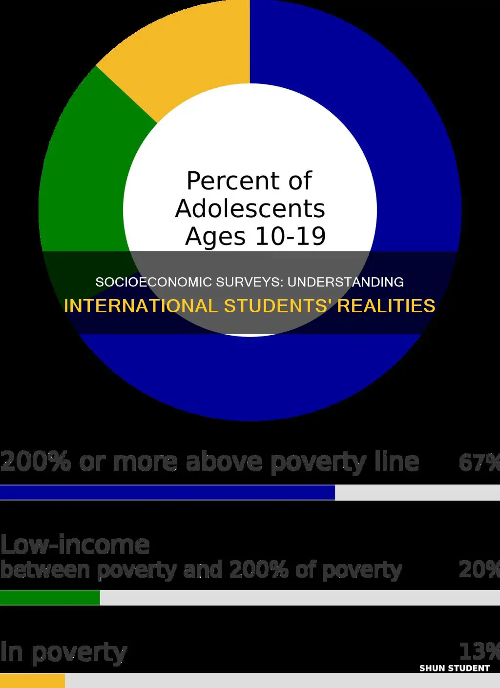 how to survey socioeconomic status to international students