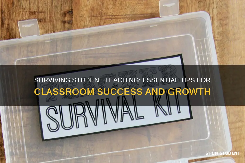 how to survive as a student teacher