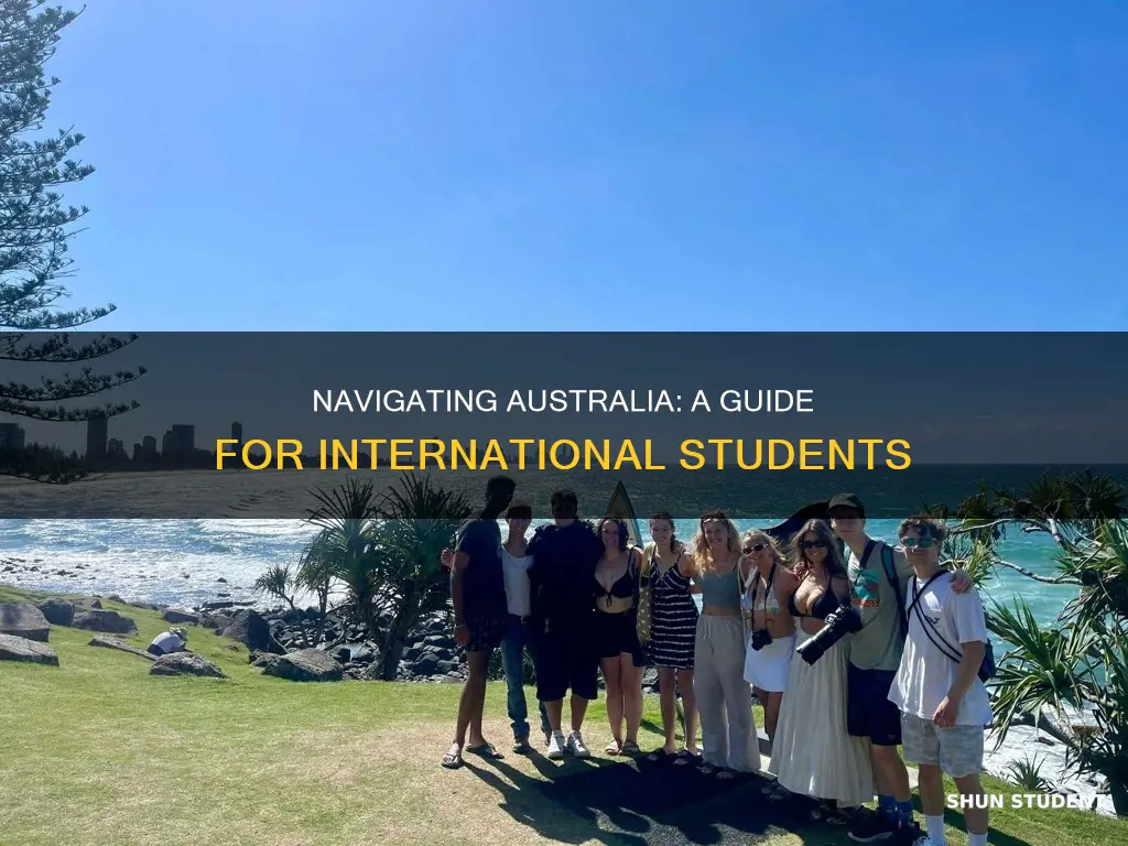 how to survive as an international student in australia