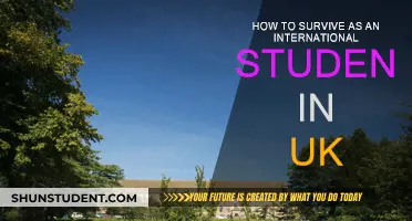 Navigating the UK as an International Student: A Survival Guide