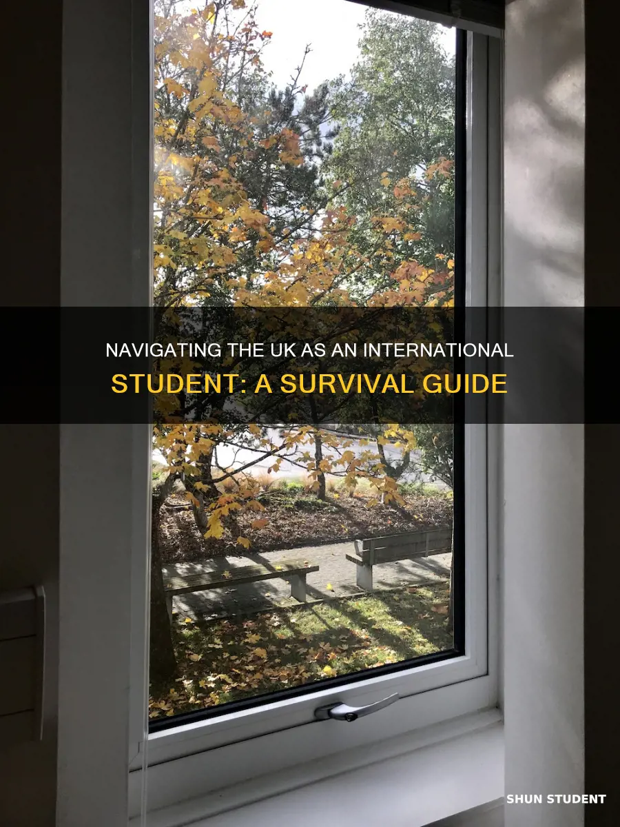 how to survive as an international student in uk
