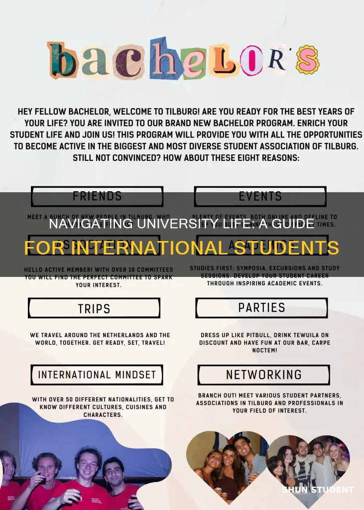 how to survive as an international student