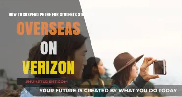 Verizon Study Abroad: Suspending Your Phone Plan Made Easy