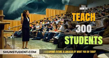 Effective Strategies for Managing and Teaching Large Classes of 300 Students