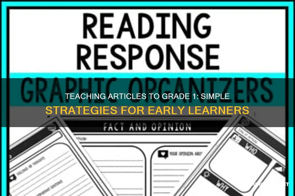 how to teach a an articles for grade 1 students