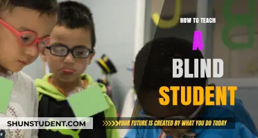 Empowering Blind Learners: Effective Teaching Strategies for Inclusive Education