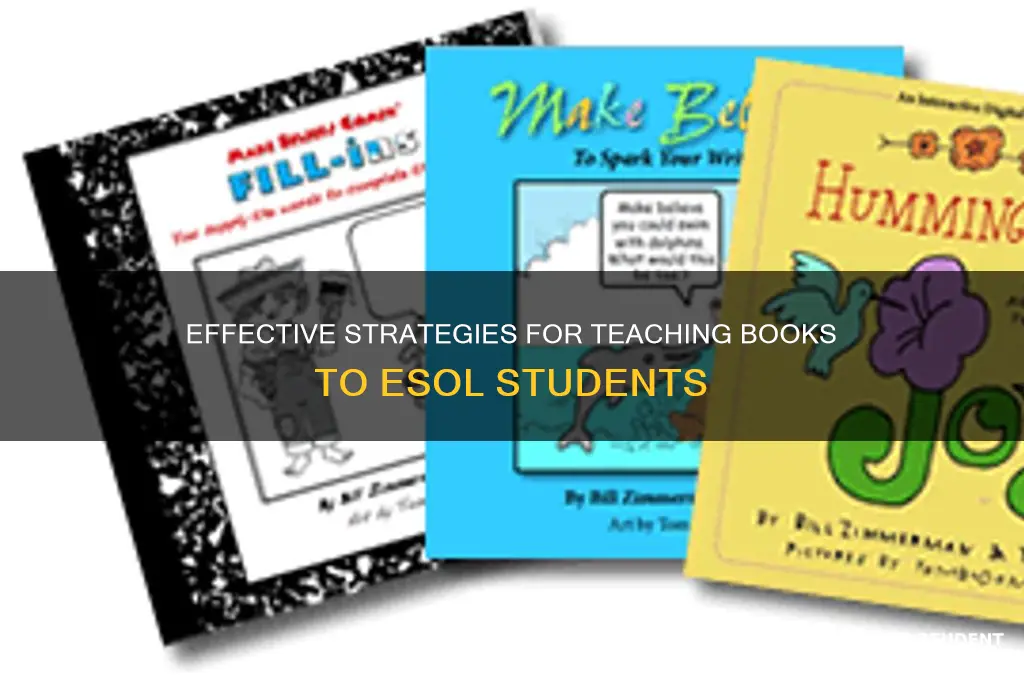 how to teach a book for esol student