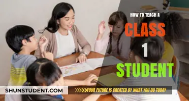 Effective Strategies for Teaching Class 1 Students: A Beginner's Guide