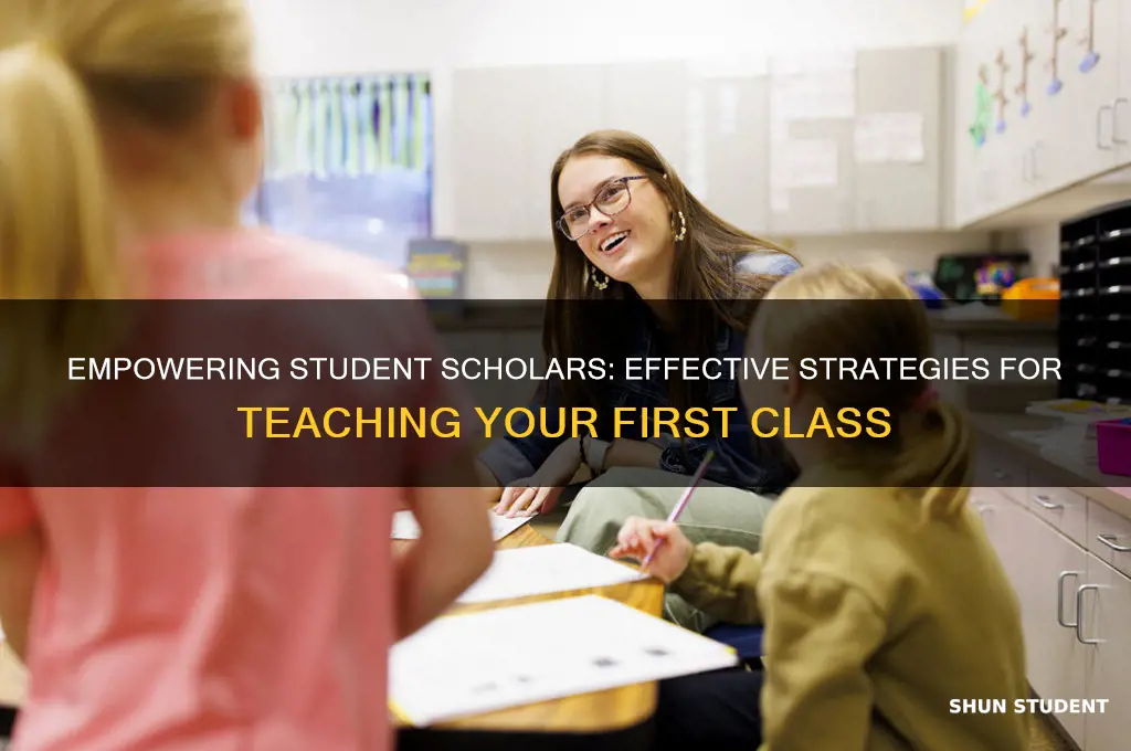 how to teach a class as a student scholar