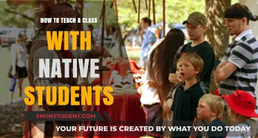 Effective Strategies for Teaching Native Students in a Diverse Classroom