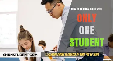 Personalized Teaching Strategies for Engaging a Single Student Effectively