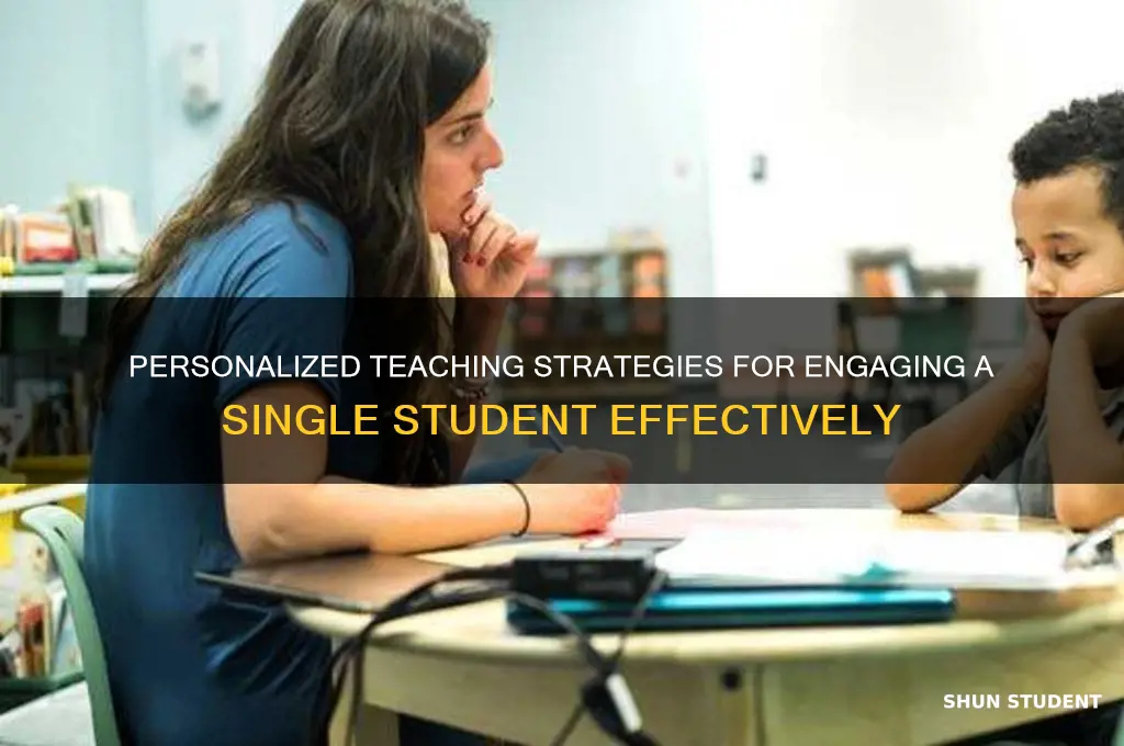 how to teach a class with only one student