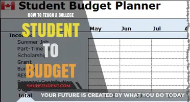 Mastering College Finances: Essential Budgeting Tips for Students