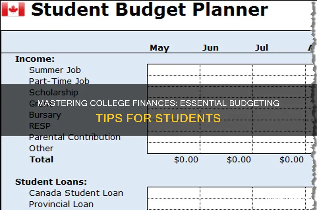 how to teach a college student to budget