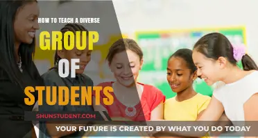 Inclusive Teaching Strategies for Engaging Diverse Student Populations Effectively
