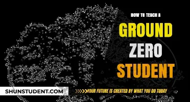 Empowering Ground Zero Learners: Strategies for Effective Teaching Success