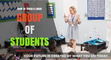 Effective Strategies for Teaching Large Student Groups Successfully