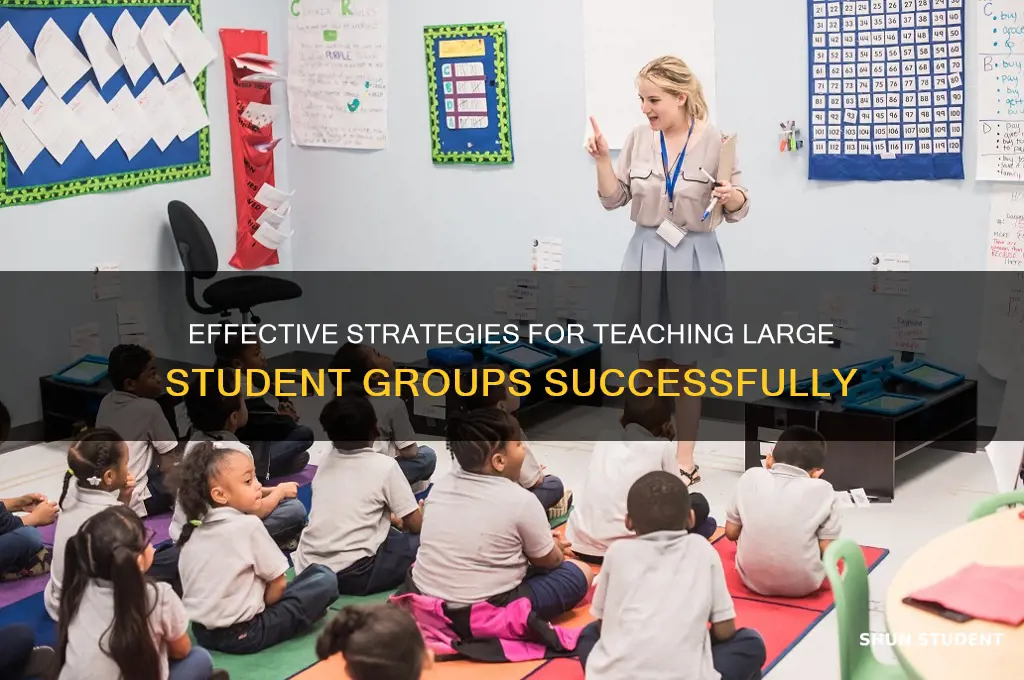 how to teach a large group of students