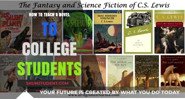 Engaging College Students: Innovative Strategies for Teaching Novels Effectively