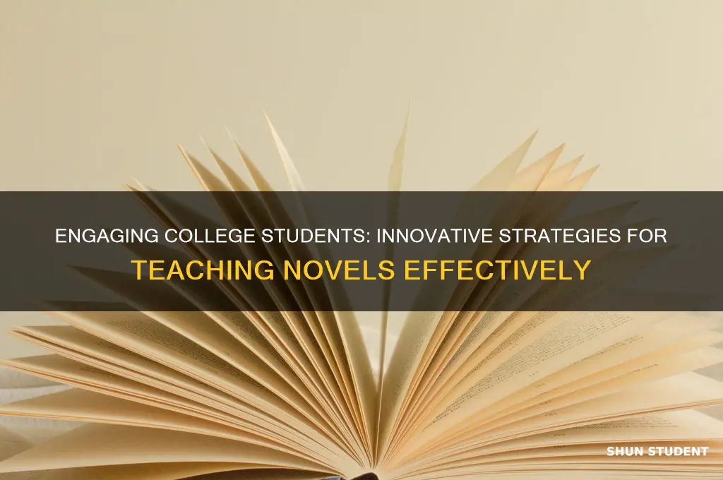 how to teach a novel to college students