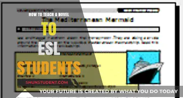Teaching Novels to ESL Students: Engaging Strategies for Language Learning