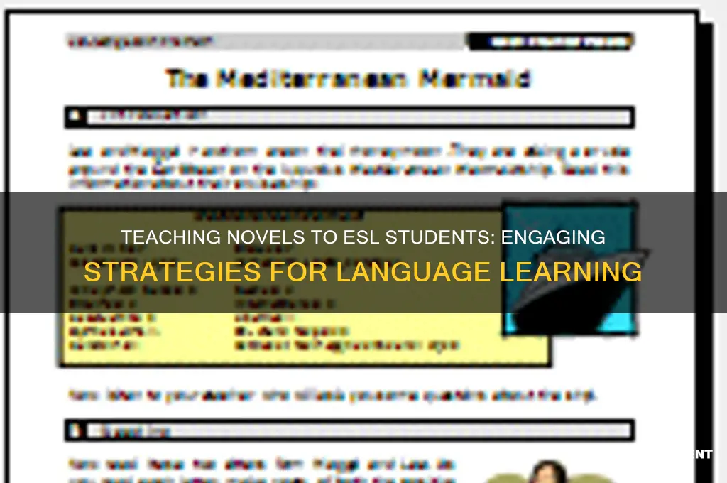 how to teach a novel to esl students