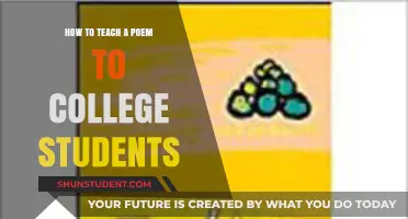 Unlocking Poetry: Effective Strategies for Teaching Poems to College Students