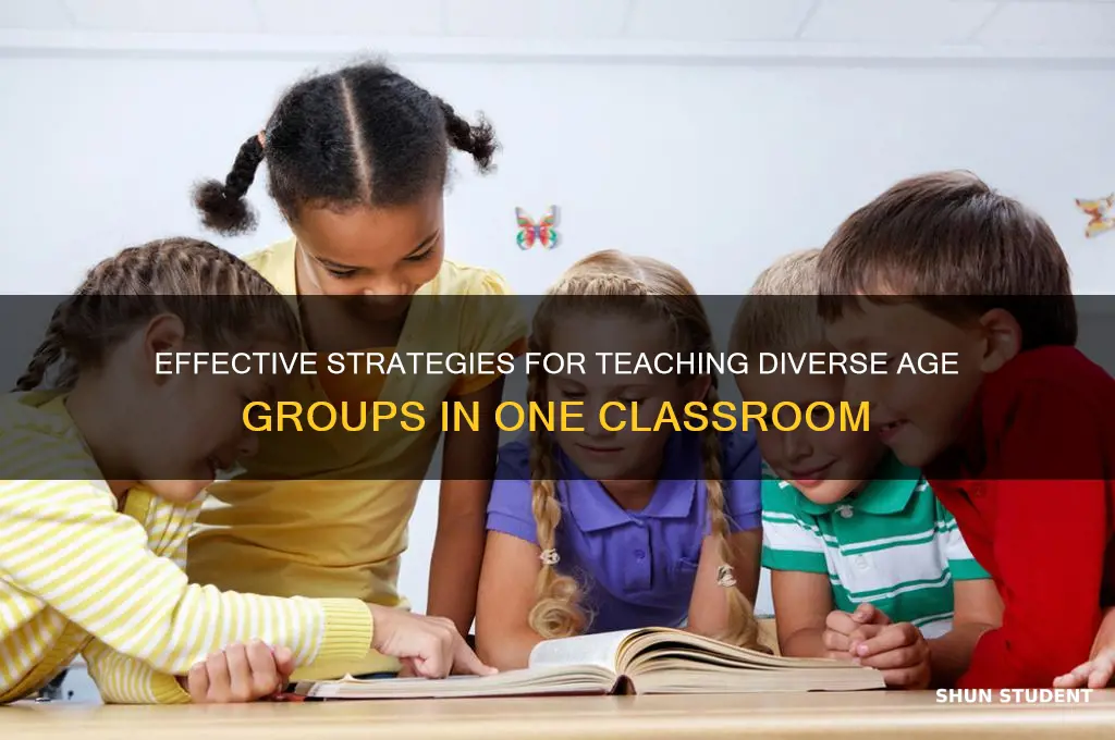 how to teach a range of students
